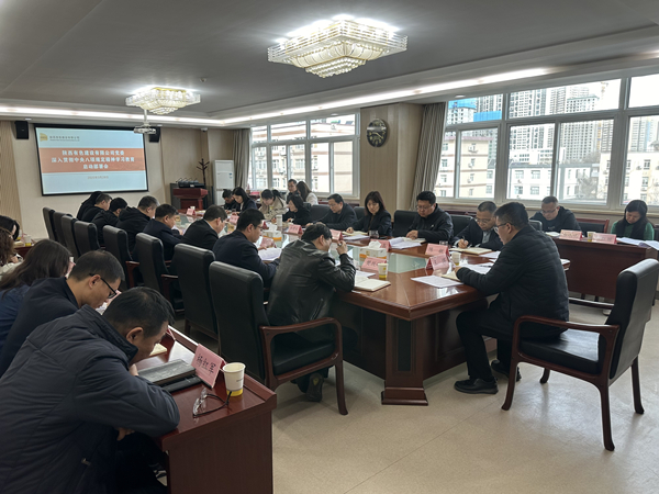 公司黨委召開深入貫徹中央八項規(guī)定精神學(xué)習(xí)教育啟動部署會